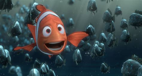 Marlin to Nemo .